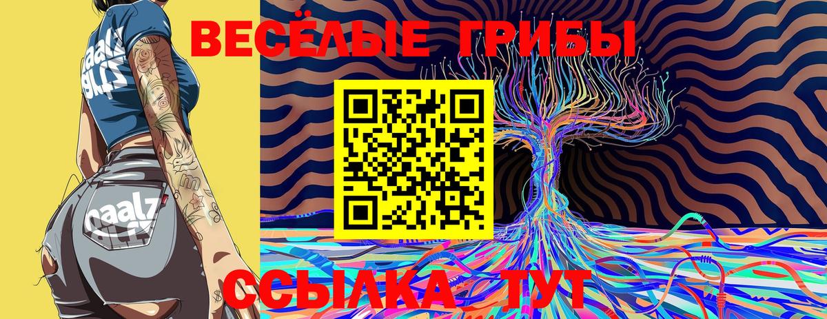 Галлюциногенные грибы MAGIC MUSHROOMS Протвино
