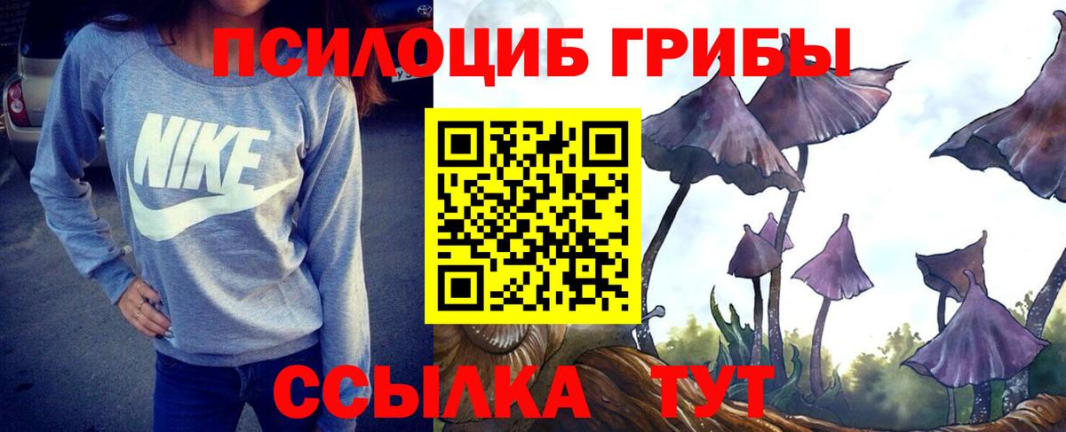 Протвино  Галлюциногенные грибы прущие грибы  Галлюциногенные грибы ЛСД  Вход с VPN 